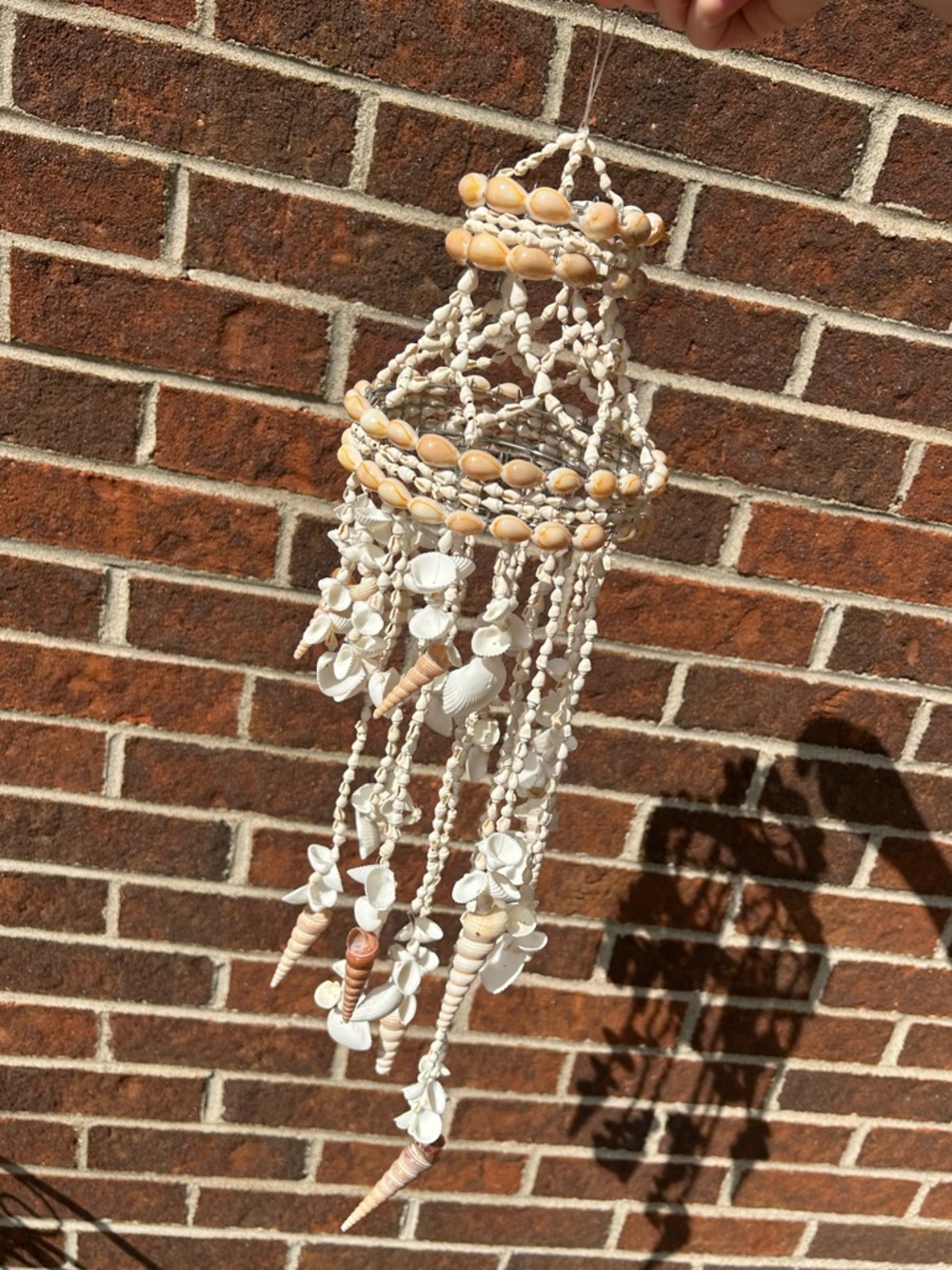 Shell chandelier - Picture 13 of 16